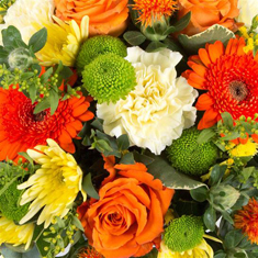 Florist&#39;s Choice Vase Arrangement