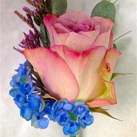 fwthumbbuttonhole1a.jpg