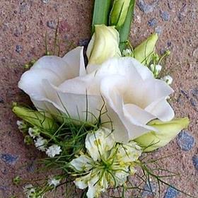 fwthumbbuttonhole3.jpg