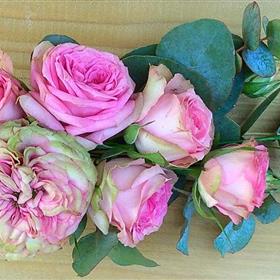 fwthumbbuttonhole5.jpg