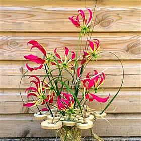 fwthumbcorporateflowers22.jpg