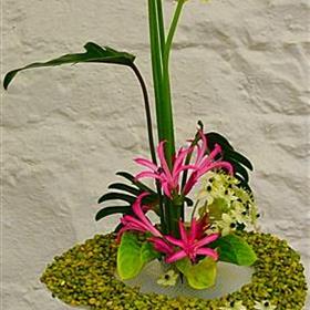 fwthumbcorporateflowers23.jpg