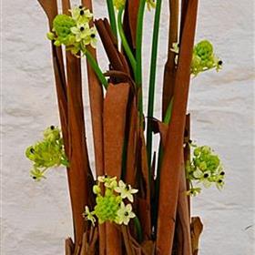 fwthumbcorporateflowers30.jpg