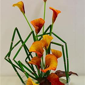 fwthumbcorporateflowers31.jpg