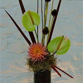 fwthumbcorporateflowers34.jpg