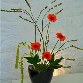 fwthumbcorporateflowers35.jpg